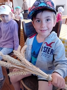 Kam dřív skočit? - ZŠ a MŠ Šindlovy Dvory