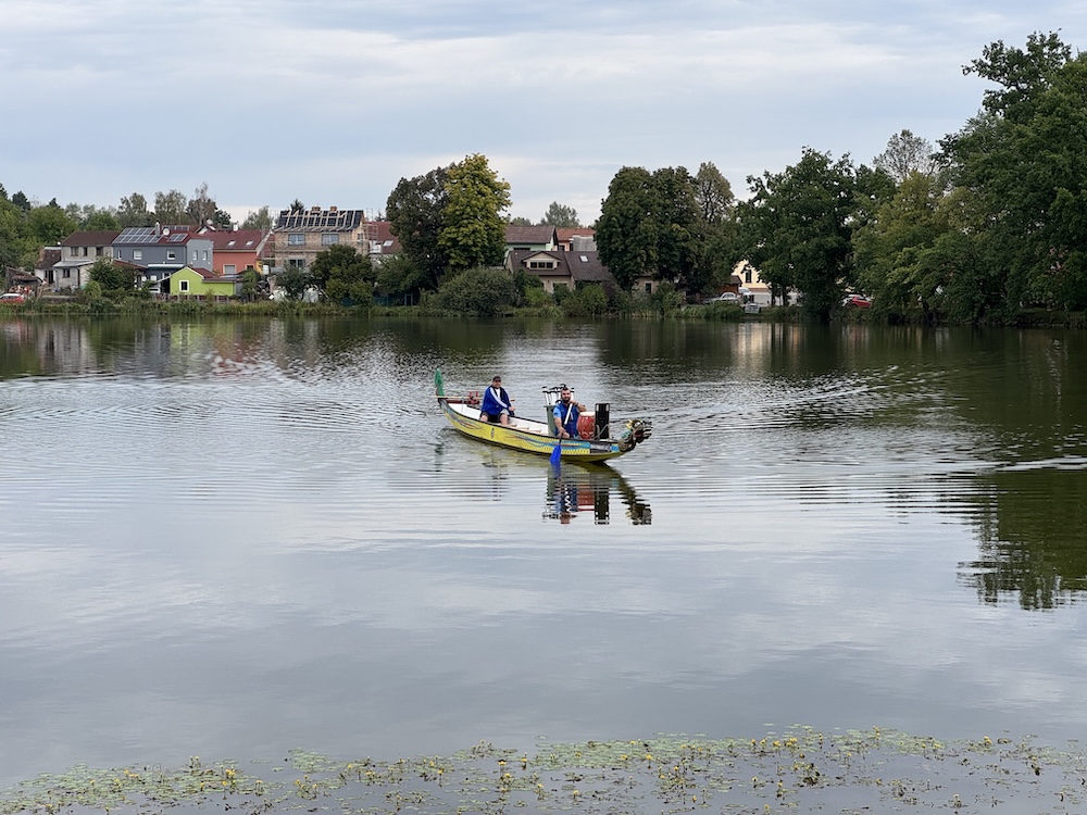 Dračí lodě rozčeřily vody Šindovského rybníku - ZŠ a MŠ Šindlovy Dvory